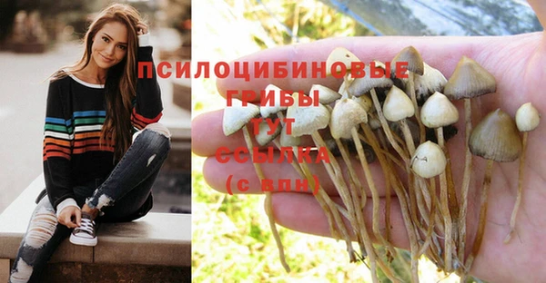 герыч Белоозёрский